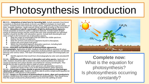 IB Photosynthesis, Pigments, Chromatography