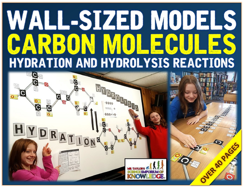 Wall-Sized Carbon Molecules: Hydration & Hydrolysis Reactions: Glucose