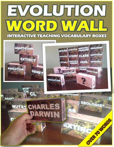 EVOLUTION: WORD WALL