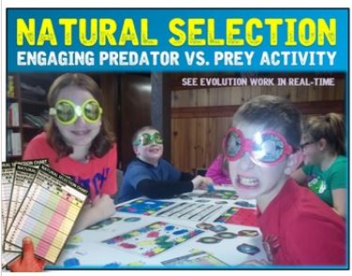 Natural Selection in Action: Playing Out Evolution with "Survival Shuffle"