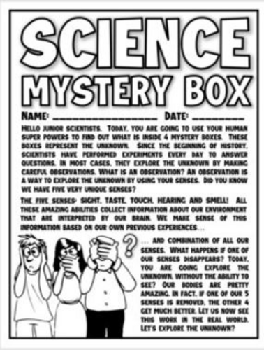 5 SENSES - Science Mystery Box Lab - Scientific Method - Observations