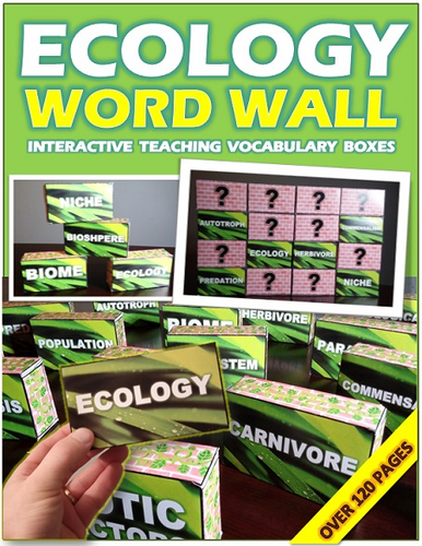 Ecology 3D Word Wall