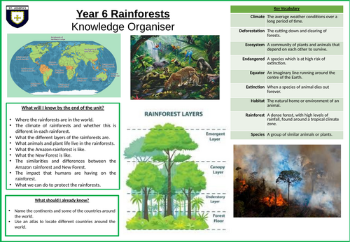 Rainforests knowledge organiser KS2