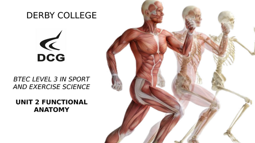 BTEC LEVEL 3 SPORT SCIENCE - FUNCTIONAL ANATOMY