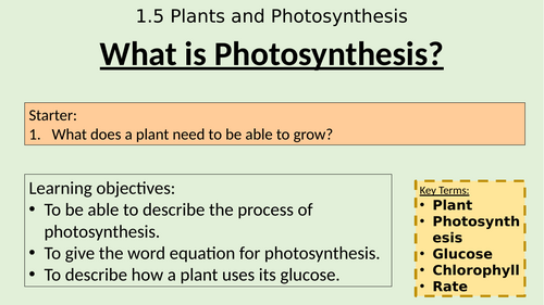 WJEC GCSE Biology Topic 5 (Plants and Photosynthesis) Complete Lesson Pack