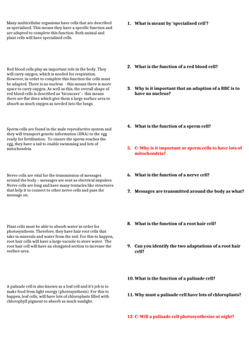 Specalised Cell Worksheets