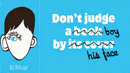 Wonder - Novel Study