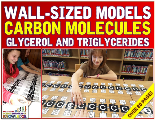 Wall Sized Carbon Molecules: Triglycerides