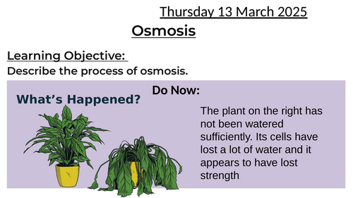 Osmosis - including 2 lesson for practical