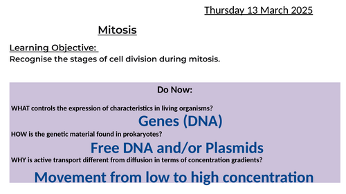 Mitosis