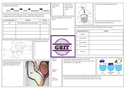 Organisation revision sheet