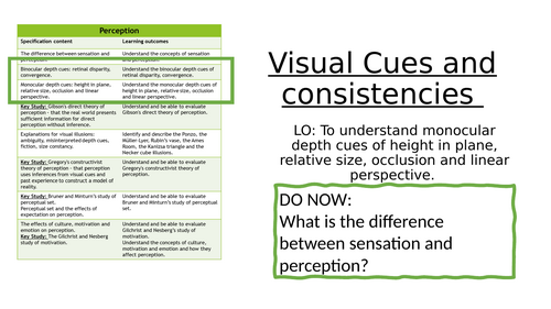 Perception - Visual cues