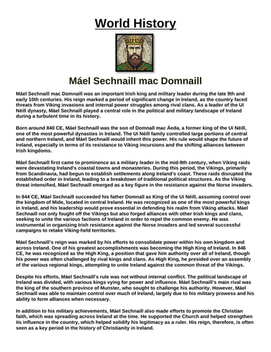 Máel Sechnaill mac Domnaill “Article & Questions” Assignment