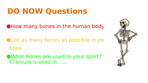 The Structure and Functions of the Musculoskeletal system - Unit of Work - GCSE PE