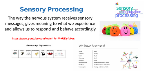 Sensory processing staff CPD