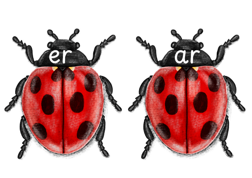 Ladybird Phonic sorting activity