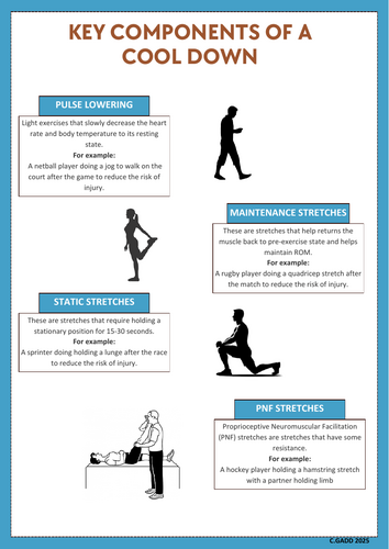 R180- Sports Injuries TA2 Revision (Posters)