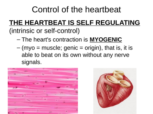 OCR A LEVEL BIOLOGY A H420 ELECTRICAL ACTIVITY IN HEART AND ECG