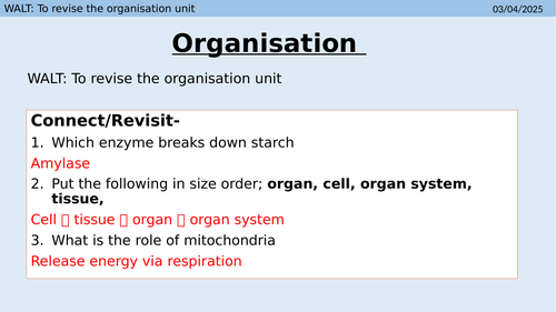 Organisation Revision powerpoint and lesson