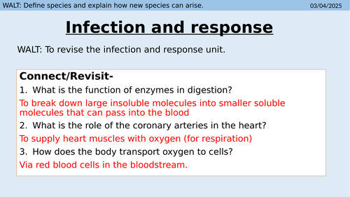 Infection and response revision powerpoint and lesson