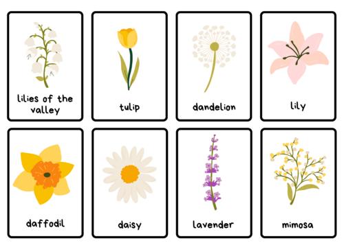 Flowers flashcards