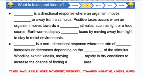 Woodlice Choice Chamber - Animal Responses