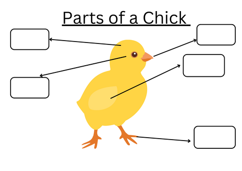 Chick learning pack for early years