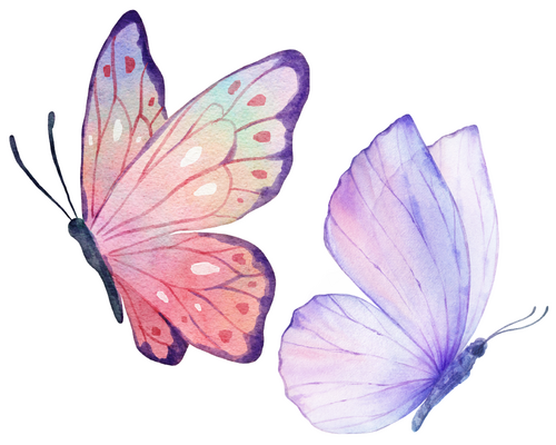 Butterfly Themed Pack