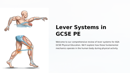 GCSE PE - Lever Systems