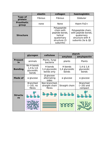 Proteins and Carbohydrates comparison table (A-level notes for OCR)