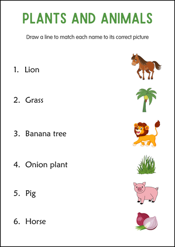 Plant vs Animal - Plants and Animals Activity Worksheets for Grade 2, 3, 4