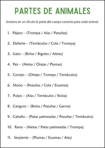 Body Parts of Animals Worksheets in Spanish - Partes Del Cuerpo de los Animales