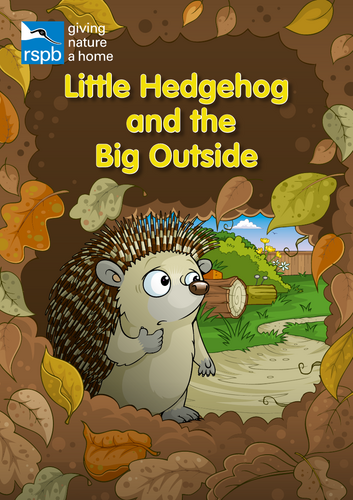 Little Hedgehog and the Big Outside [An early years story and an outdoor lesson plan]