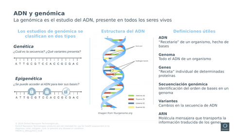 Spanish - How nanopore sequencing works - gif version