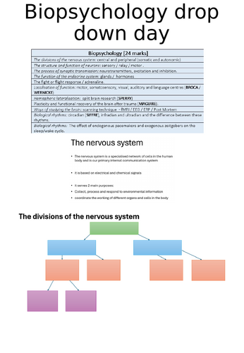 AQA Psych A-Level - Biopsychology revision day