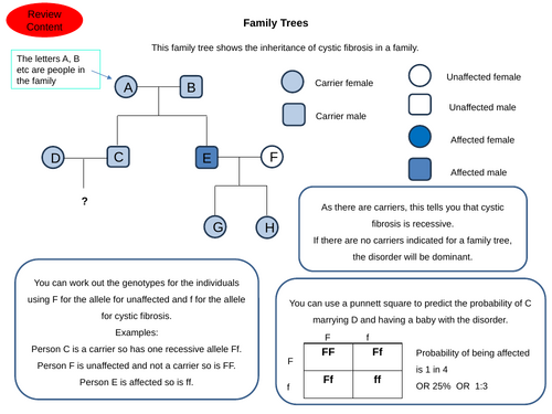 GCSE AQA Biology Inheritance Family Tree 4-Steps Revision and Exam Preparation