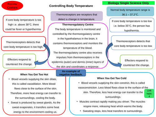 GCSE AQA Biology Homeostasis Controlling Body Temperature 4-Steps Revision and Exam Preparation