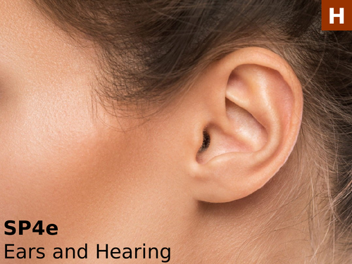 Edexcel SP4e Ears and Hearing
