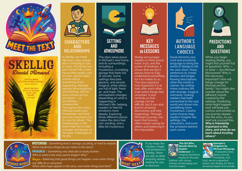 Meet the Text - Skellig