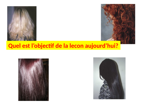 French Year 7 - Unit 2 lesson 8 - Les cheveux