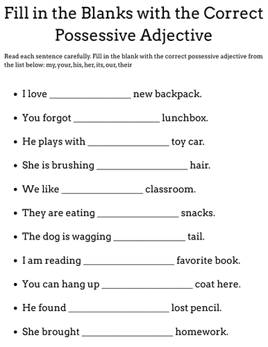 Fill in the Blanks with the Correct Possessive Adjective