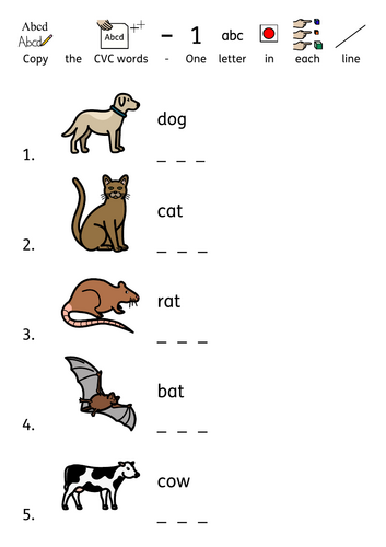 Copy CVC words Animal theme - PDF