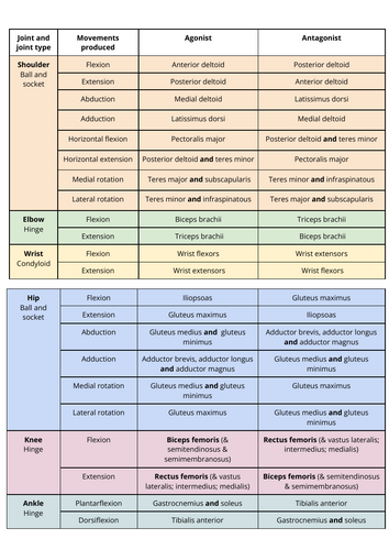 Movement analysis KS5 OCR PE