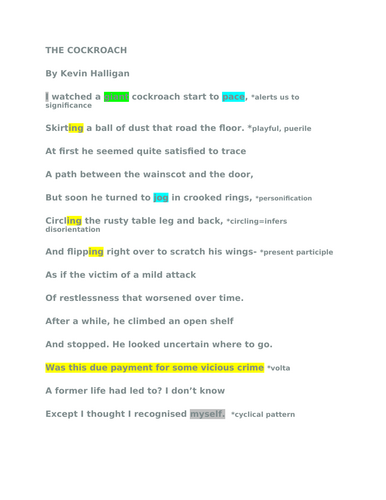 iGCSE ENGLISH LITERATURE "The Cockroach"  Level 9 analysis
