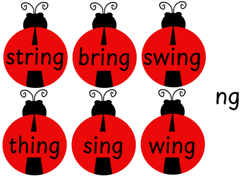 Ladybird Word Cards- Set 1 Special Friends