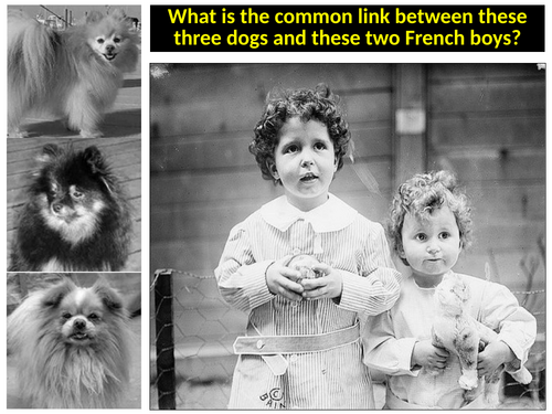 Titanic - comparing the British and US Inquests