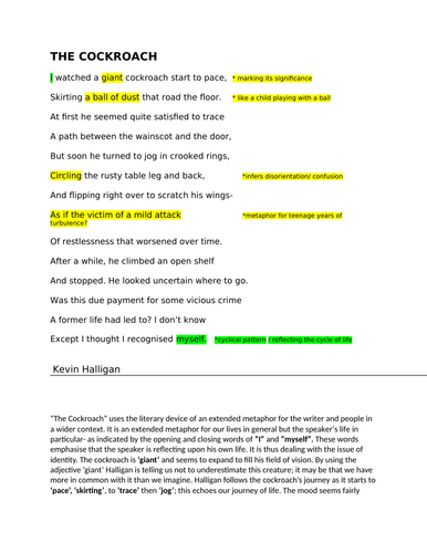 Level 9 poetry analysis iGCSE English Literature "The Cockroach"