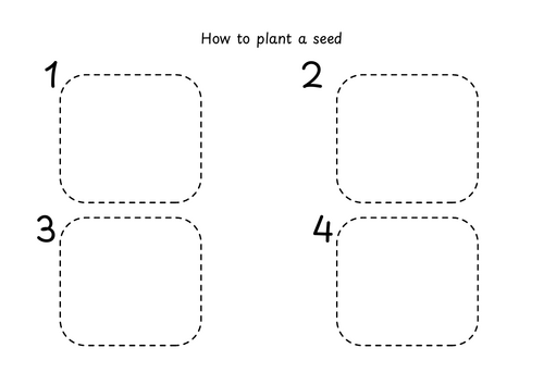 How to plant a seed activity with differing levels of challenge