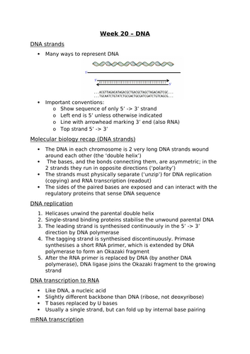 DNA notes