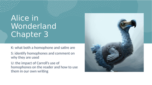 Alice in Wonderland Ch 3 Homophones